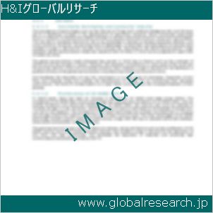 グローバルリサーチ調査レポートのイメージ